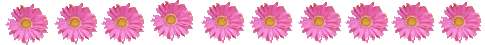 linka-IJ.gif
