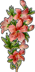 květy-A.gif