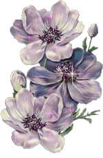 květy-lila.gif